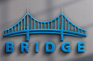 Home bridge multi trading limited